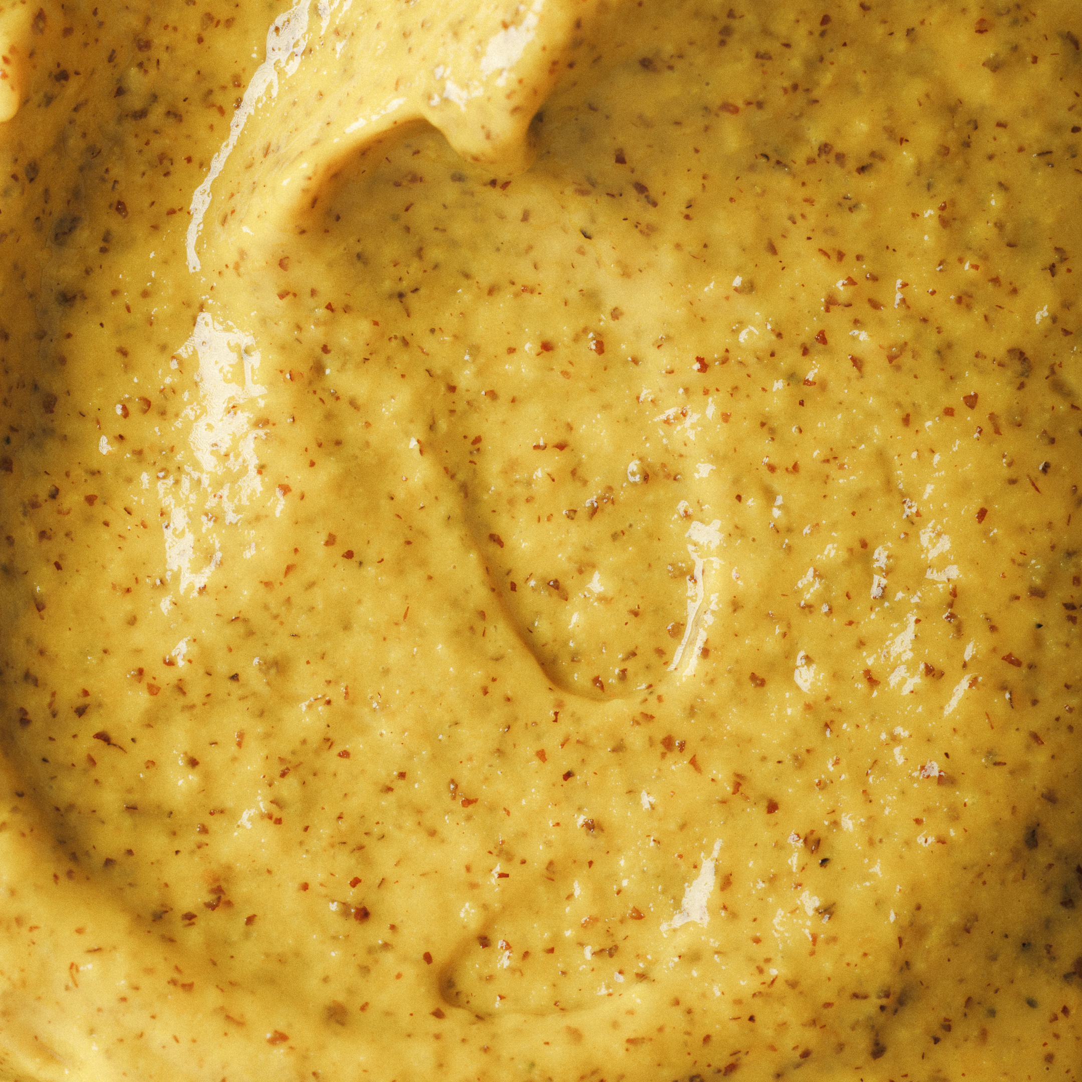 Mostarda Dijon Fermentada 1